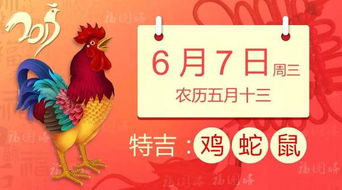 生肖雞7月3日運(yùn)勢(shì)如何（生肖雞7月運(yùn)勢(shì)2021）