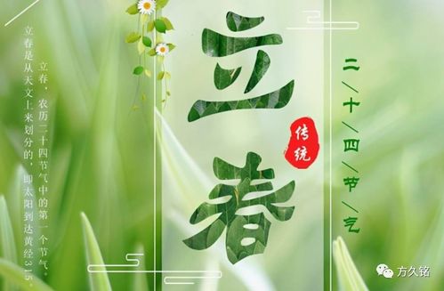 流年壬寅運勢如何（壬寅年流年運勢）