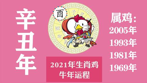 1981年今天運勢如何（81年今日運勢）