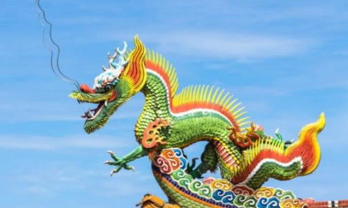 龍運(yùn)勢(shì)2024年運(yùn)勢(shì)如何（屬龍的2024年運(yùn)勢(shì)如何）