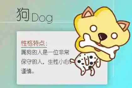 12月份屬狗的運(yùn)勢(shì)如何（12月屬狗的人命運(yùn)如何）