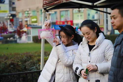 返鄉(xiāng)能做什么賺錢項目呢,返鄉(xiāng)做什么行業(yè)好