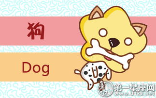 6月7日生肖狗運勢如何（6月7日屬相）