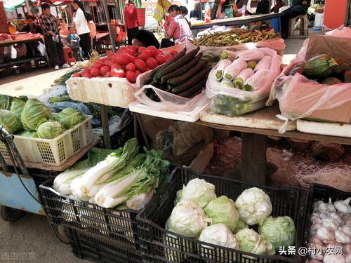 熟菜店做什么項目好賺錢,熟菜店做什么項目好賺錢又實(shí)惠