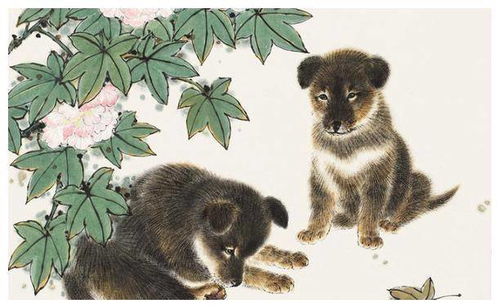 狗兔運勢如何化解（狗兔好嗎）