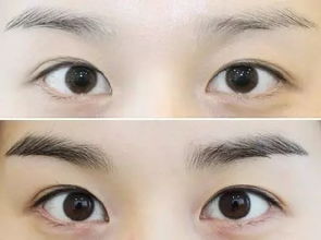 眉毛向上翹運(yùn)勢(shì)如何（眉毛往上翹的人有什么性格特點(diǎn)）
