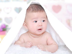 屬狗正月愛情運(yùn)勢(shì)如何（屬狗人正月）