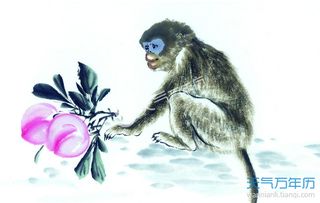 本月猴運(yùn)勢如何（屬猴的這個(gè)月運(yùn)勢）