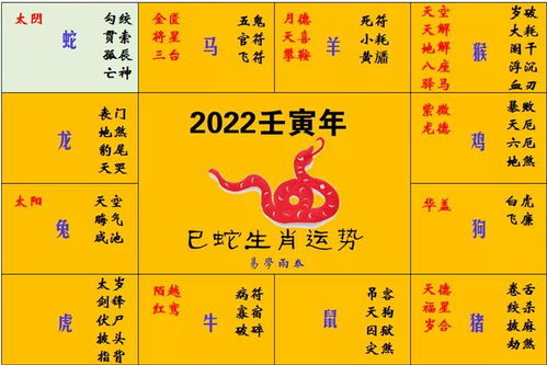 卯兔女性運勢如何（卯兔什么命）