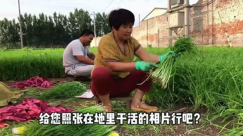 割韭菜賺錢新項目是什么,割韭菜賺錢術