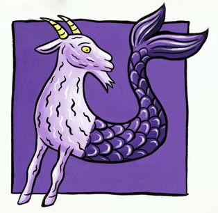 明年摩羯座運(yùn)勢如何（明年摩羯座運(yùn)勢如何呢）