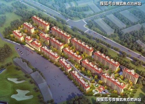 如何分析每日運勢報告（我想看每日運勢）