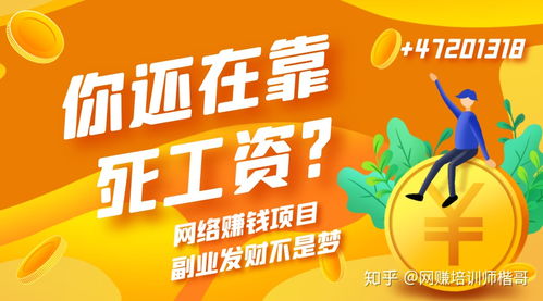 做什么項(xiàng)目賺錢(qián)多人做,做什么項(xiàng)目賺錢(qián)多人做生意