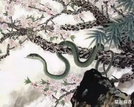 屬蛇明天運(yùn)勢如何（屬蛇明天運(yùn)氣如何）