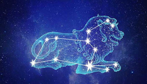 十二星座喜歡什么人,12星座喜歡什么人