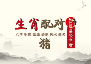 1983今天運(yùn)勢(shì)如何（今日運(yùn)勢(shì)1983）