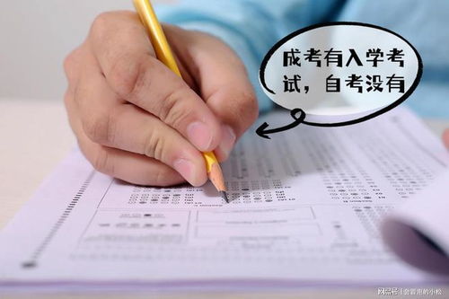 今年考試運(yùn)勢(shì)如何（今年考試運(yùn)勢(shì)如何）