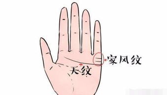 如何看手紋運(yùn)勢圖解（如何看手紋運(yùn)勢圖解女）