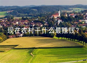 高河做什么項(xiàng)目好賺錢(qián),高河哪里