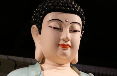 屬蛇人明日運(yùn)勢(shì)運(yùn)勢(shì)如何（屬蛇明日運(yùn)勢(shì)女）