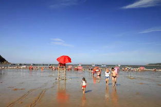 海灘什么項(xiàng)目短賺錢(qián)快,海灘做什么生意 海灘什么項(xiàng)目短賺錢(qián)快,海灘做什么生意