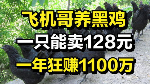 賣雞賺錢的項目是什么,賣雞賺錢嗎