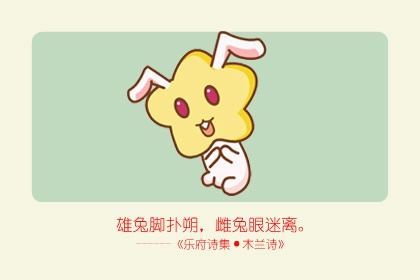 兔2024運(yùn)勢如何（2024屬兔人全年運(yùn)勢）