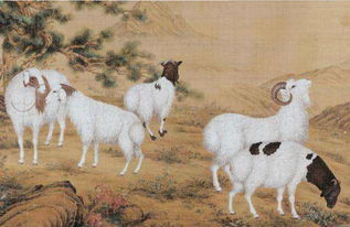 屬羊人男今年的運(yùn)勢(shì)如何（屬羊的男性今年的命運(yùn)）