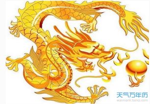 屬龍未來一個月運勢如何（屬龍人這個月的運程）