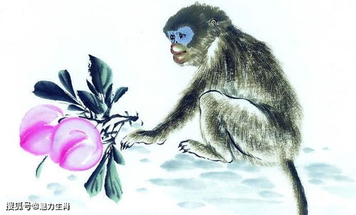 屬猴人遇雞年運(yùn)勢(shì)如何（屬猴的屬雞的）