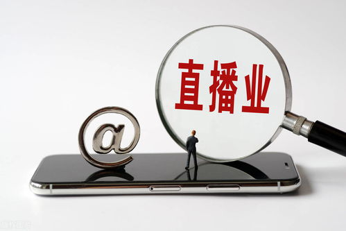個人直播帶貨什么項目賺錢,個人直播帶貨什么項目賺錢多