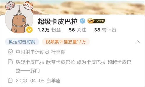 17歲賺錢小項(xiàng)目是什么,17歲搞什么賺錢