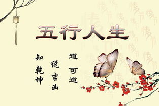 癸巳各年運(yùn)勢(shì)如何（癸巳年生人）