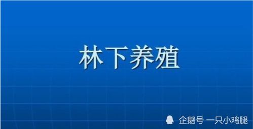 養(yǎng)殖什么賺錢項(xiàng)目比較好,養(yǎng)殖啥最賺錢快,投資少