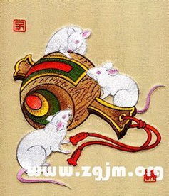 屬鼠的財(cái)運(yùn)和運(yùn)勢如何（屬鼠的人的財(cái)運(yùn)）