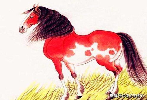 吉祥弟弟運(yùn)勢(shì)如何樣（吉祥弟弟家境）