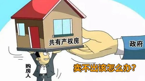房產(chǎn)新人怎么寫簡介,房產(chǎn)新人怎么寫簡介吸引人