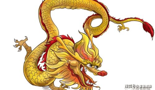6月1日龍的運勢如何（6月龍的命運怎么樣）