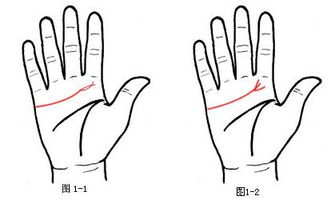 手相如何算愛情運勢（手相看愛情運）