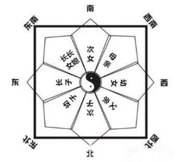 離卦家庭運勢如何（離卦的運勢）