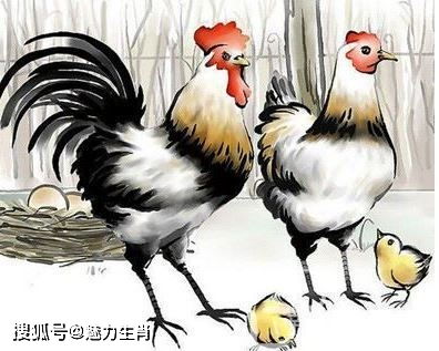 屬雞四月份的運(yùn)勢(shì)如何（4月屬雞人運(yùn)勢(shì)如何）