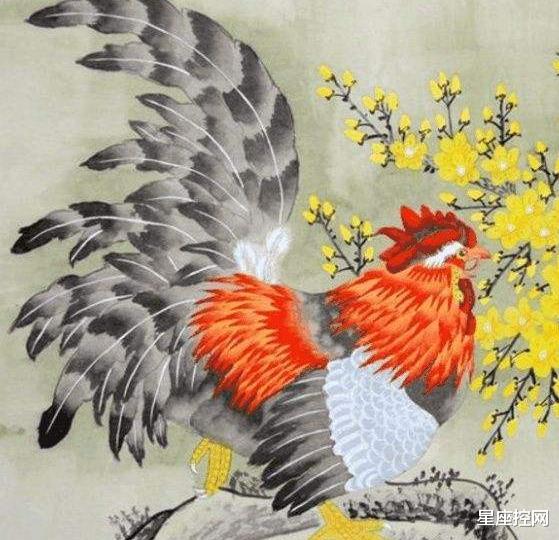 屬雞四月份的運(yùn)勢(shì)如何（4月屬雞人運(yùn)勢(shì)如何）
