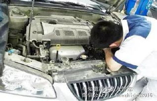 汽車水箱加多少白酒,汽車水箱加多少白酒最好