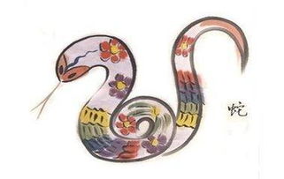 蛇的財運運勢如何（屬蛇的財運在哪里）