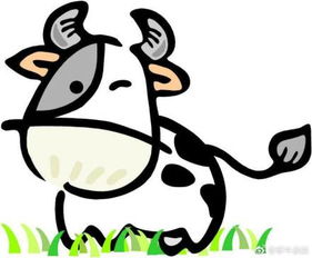 屬牛人逐月運(yùn)勢如何（屬牛人逐月命運(yùn)）