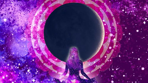 鴻蒙如何添加星座運(yùn)勢（鴻蒙系統(tǒng)桌面怎么添加運(yùn)動(dòng)健康）
