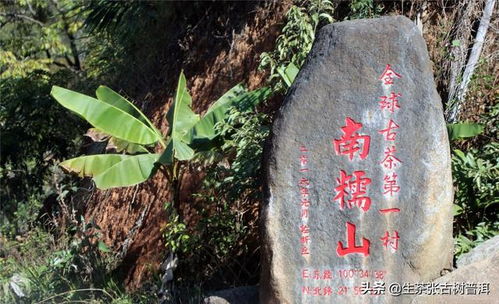 天罡星的運(yùn)勢如何（天罡星命的人什么特點(diǎn)）