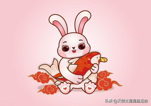天秤生肖兔運勢如何（天秤座生肖兔）