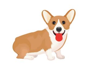 狗運勢2017運勢如何（狗的2020年運程）