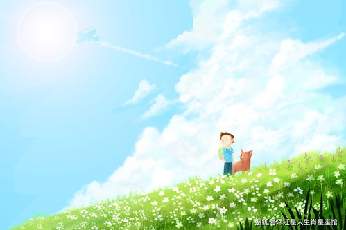 這周金牛運(yùn)勢如何（這周金牛座的運(yùn)勢）